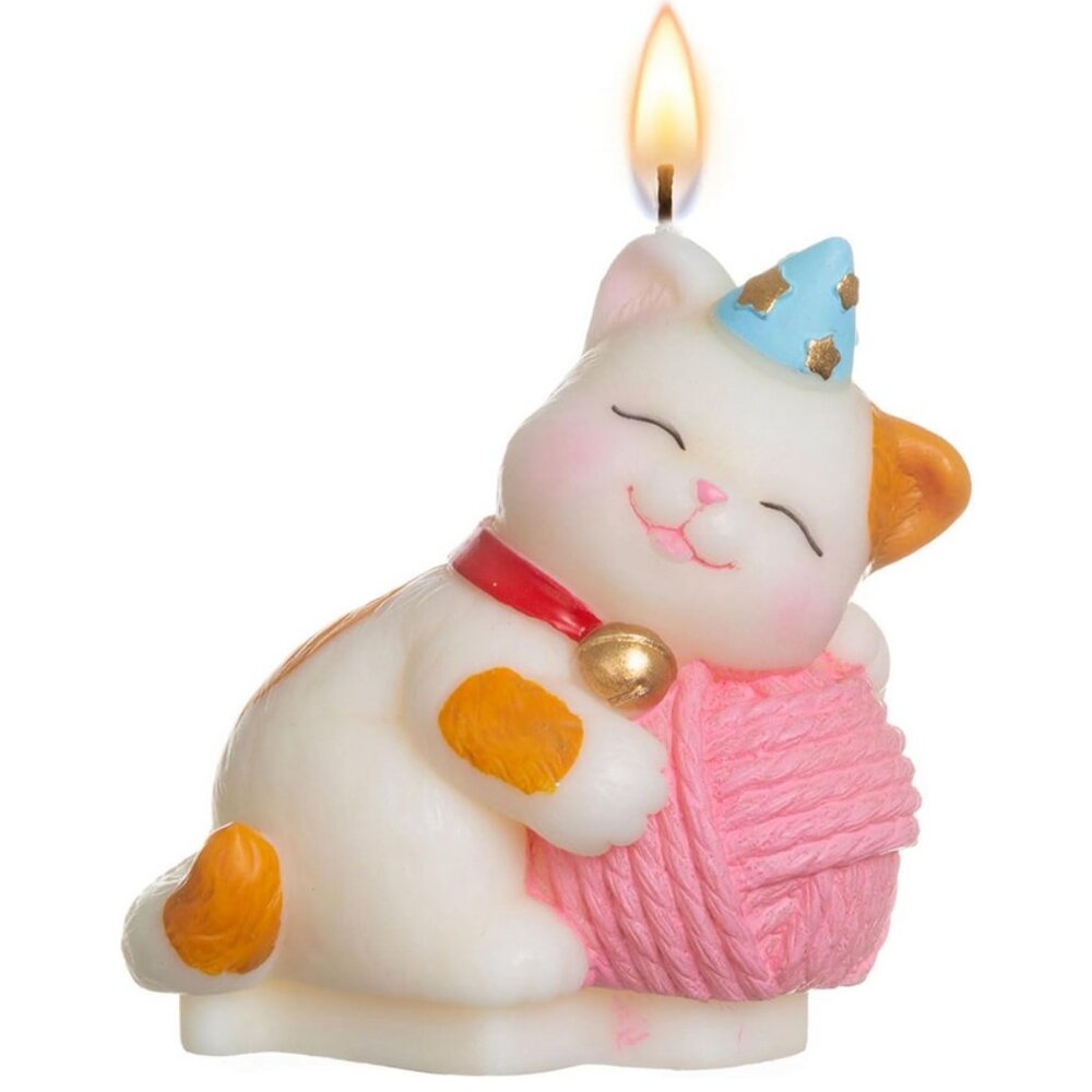 Adorable cat candle / cake topper